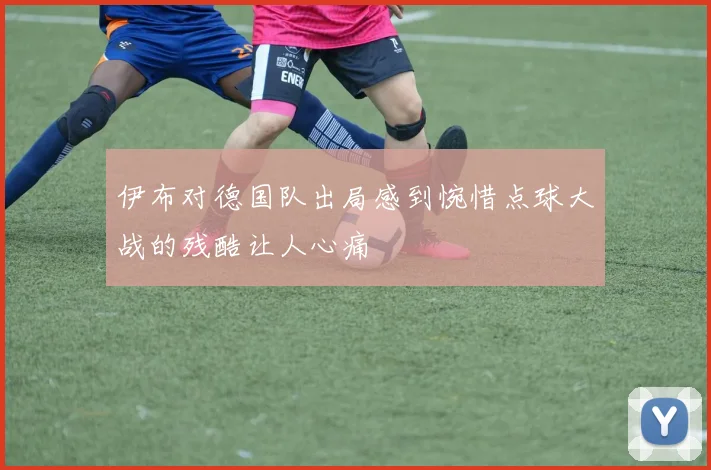 伊布对德国队出局感到惋惜点球大战的残酷让人心痛